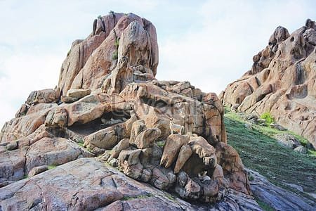 Descubra fósseis de dinossauros encontrados em locais inesperados e como isso desafia a visão tradicional. Entenda o impacto do Dilúvio Universal nessas descobertas.